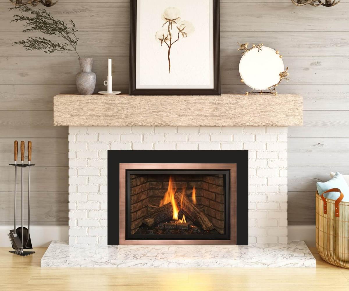 Gas/Propane Stoves, Inserts & Fireplaces - The Stove Store